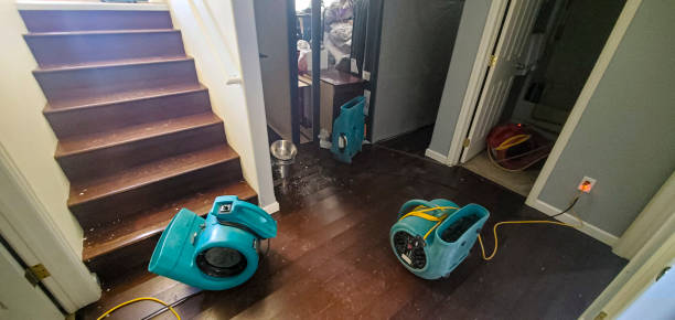 Best Ceiling water damage repair  in Cornwall On Hudson, NY