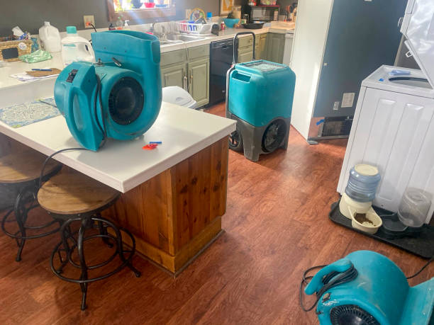 Best Water damage contractors near me  in Cornwall On Hudson, NY