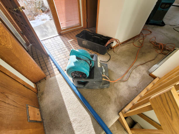 Best Flood damage cleanup  in Cornwall On Hudson, NY