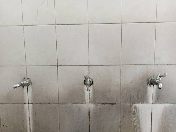 Best Professional water damage repair  in Cornwall On Hudson, NY