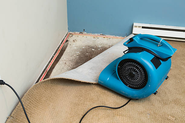 Best Basement water damage restoration  in Cornwall On Hudson, NY